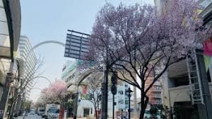 加古川でのご依頼が多い理由 ― 交通の要衝だからこそ見えてくる「動き」